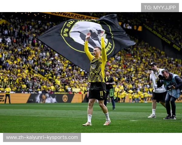 黄黑浪潮席卷德甲揭秘多特蒙德主场不败背后的五大关键因素 黄黑浪潮席卷德甲揭秘多特蒙德主场不败背后的五大关键因素